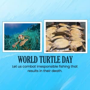 World Turtle Day event advertisement