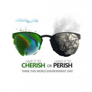 World Environment Day festival image