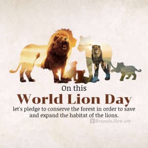 World Lion Day video