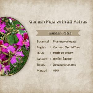 Ganesh Puja 21 Patras facebook ad banner