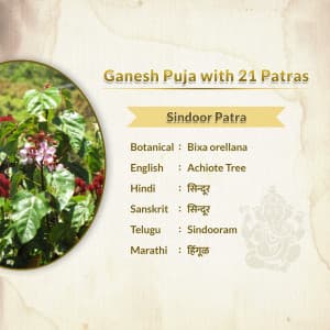 Ganesh Puja 21 Patras poster