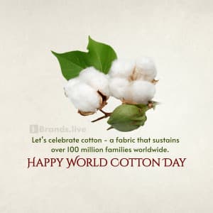 World Cotton Day illustration