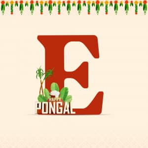 Pongal Alphabet Instagram flyer