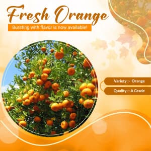 Oranges flyer