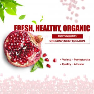 Pomegranate facebook ad banner