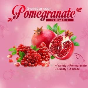 Pomegranate template