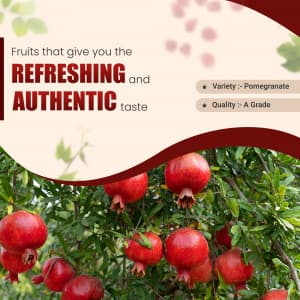 Pomegranate Instagram banner