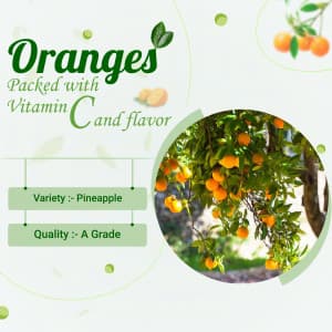 Oranges Instagram banner