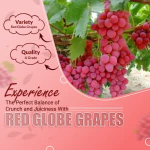 Grapes poster Maker