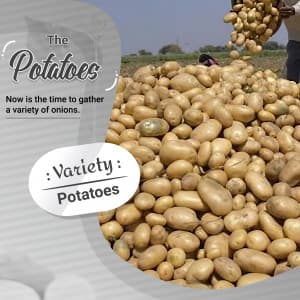 Potato Instagram banner