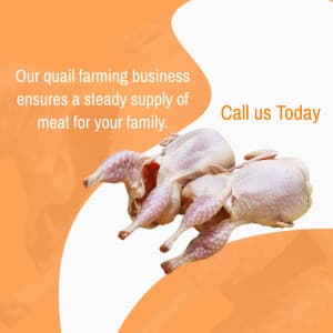 Quail Farming instagram post