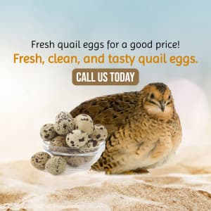 Quail Farming business banner