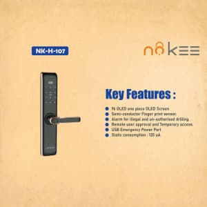 NoKee Locks image