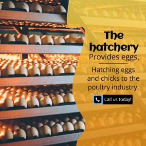 Hatchery business template