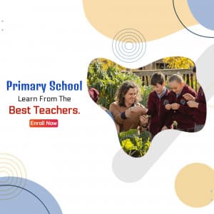Primary School promotional template