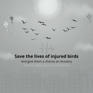 Save Birds Campaign Social Media post