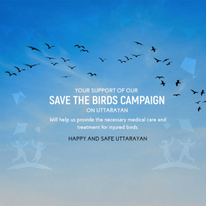 Save Birds Campaign image