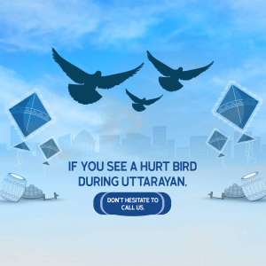 Bird’s Doctor event advertisement