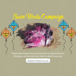 Save Birds Campaign poster