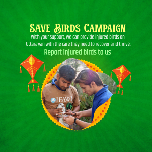 Save Birds Campaign banner