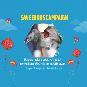 Save Birds Campaign post