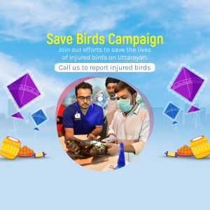 Save Birds Campaign flyer