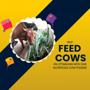 Cow Green Fodder facebook ad banner