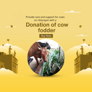 Cow Green Fodder Instagram banner