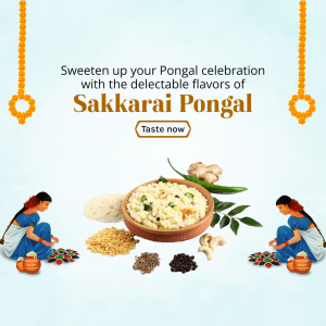 Pongal Food video