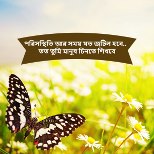 বাংলা (Bengali ) ad post