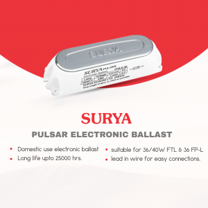 Surya business flyer