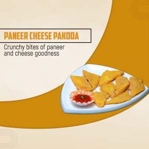 Paneer Special business video