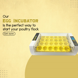 Egg Incubator promotional poster