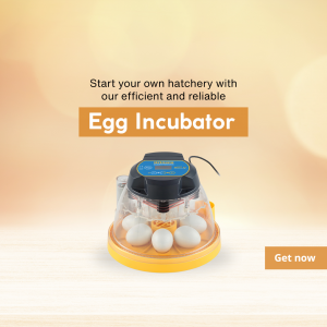 Egg Incubator promotional images