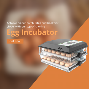 Egg Incubator facebook banner