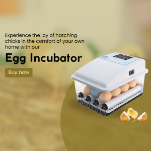 Egg Incubator facebook ad