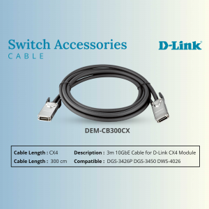 D-Link flyer
