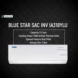 Blue Star promotional template