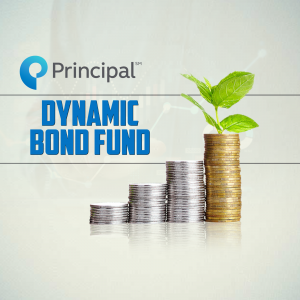 Principal Mutual Fund video