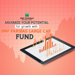 BNP Mutual Fund video