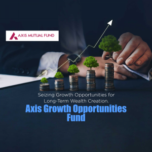 Axis Mutual Fund business template