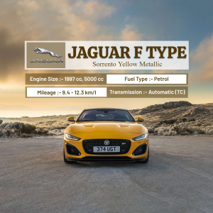 Jaguar promotional template