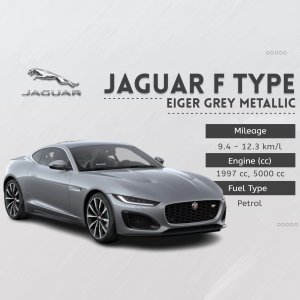 Jaguar video