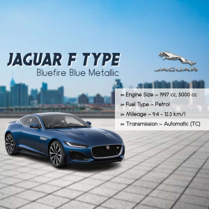 Jaguar image