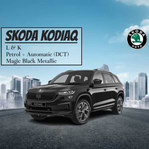 Skoda business post