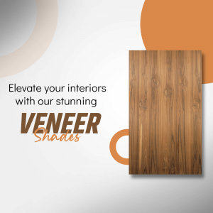 Veneer marketing poster