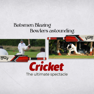 Cricket greeting image