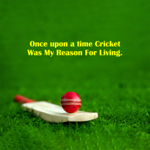 Cricket facebook banner