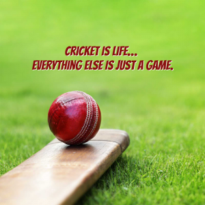 Cricket template
