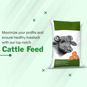 Cattle feed promotional poster